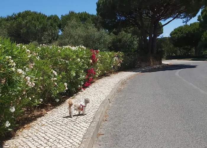 - Casa Balaia بيت للعطل