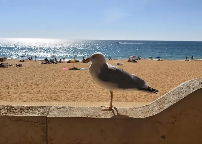 度假居 - Casa Balaia *